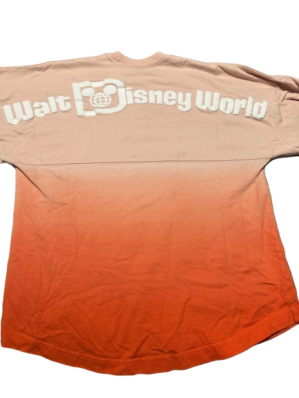 Disney Parks Ombré Spirit Jersey